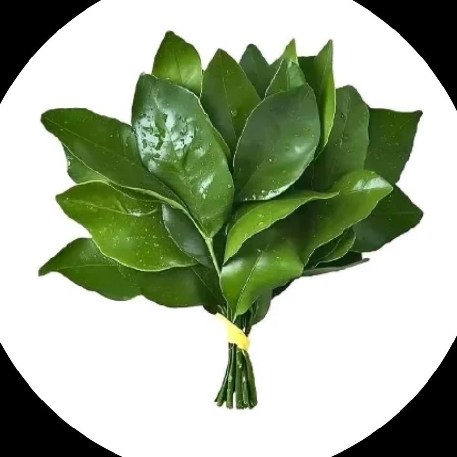 小小只呀