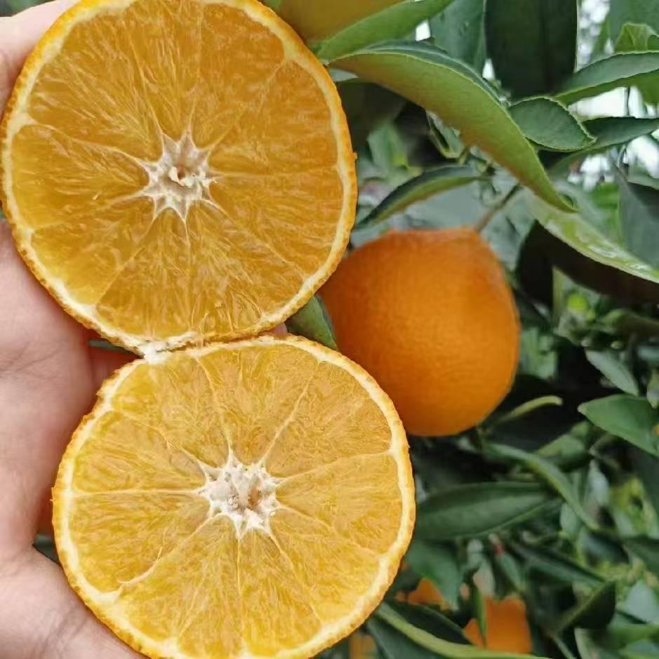 松佳果园鲜果铺