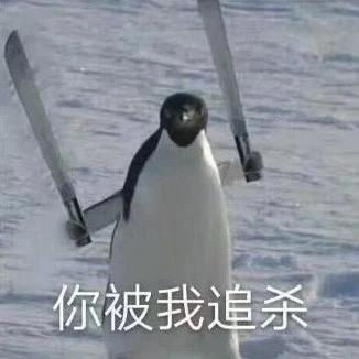 唧唧复唧唧（对CS死心版