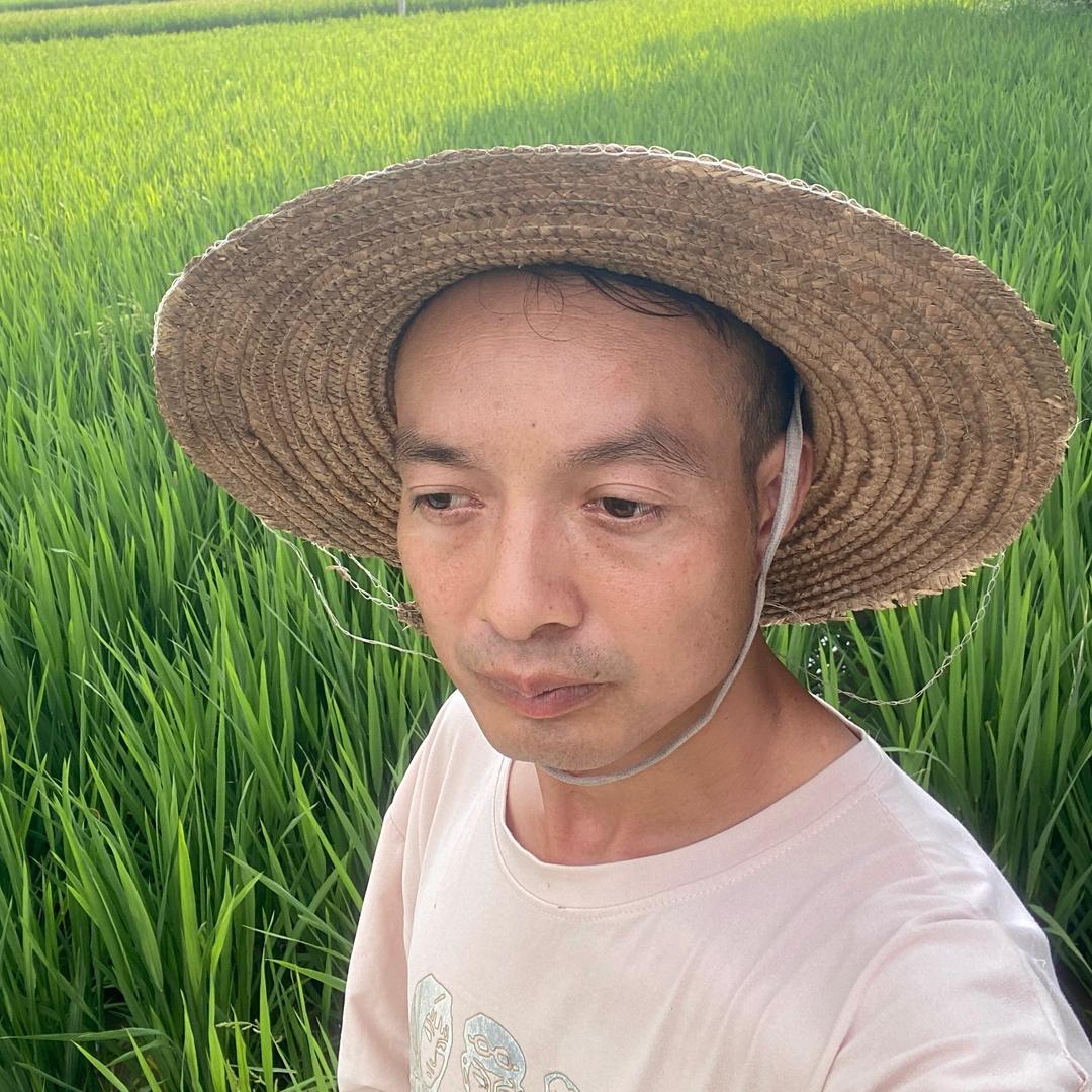 三毛守村日记
