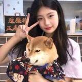 晓静
