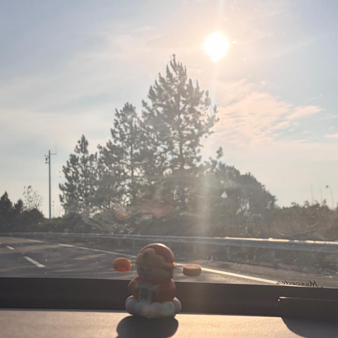 LI . LI 🌅
