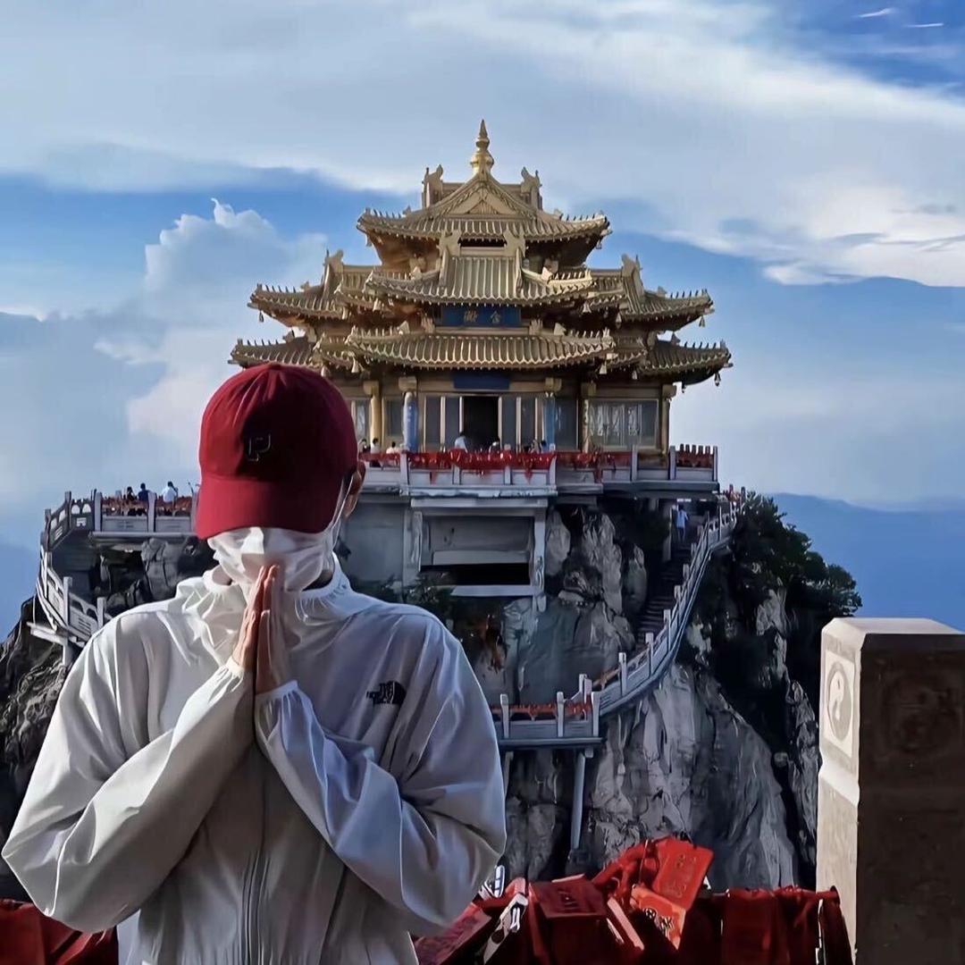 折翼的白鸽