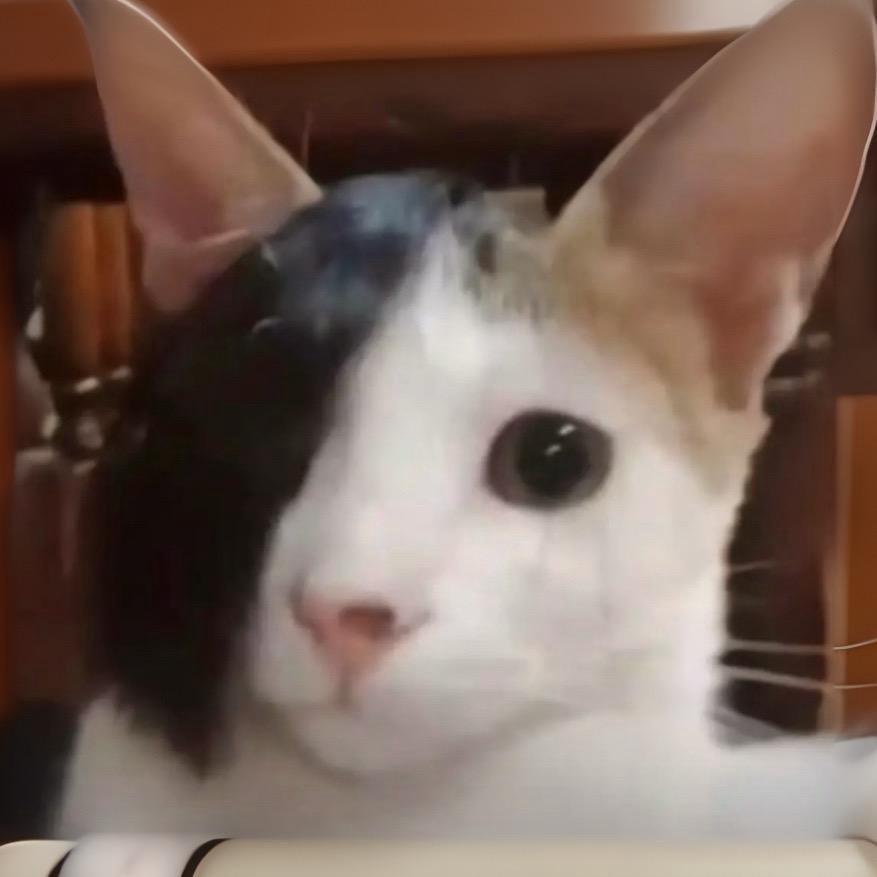 下乡男知青被农村糙妇狠狠宠