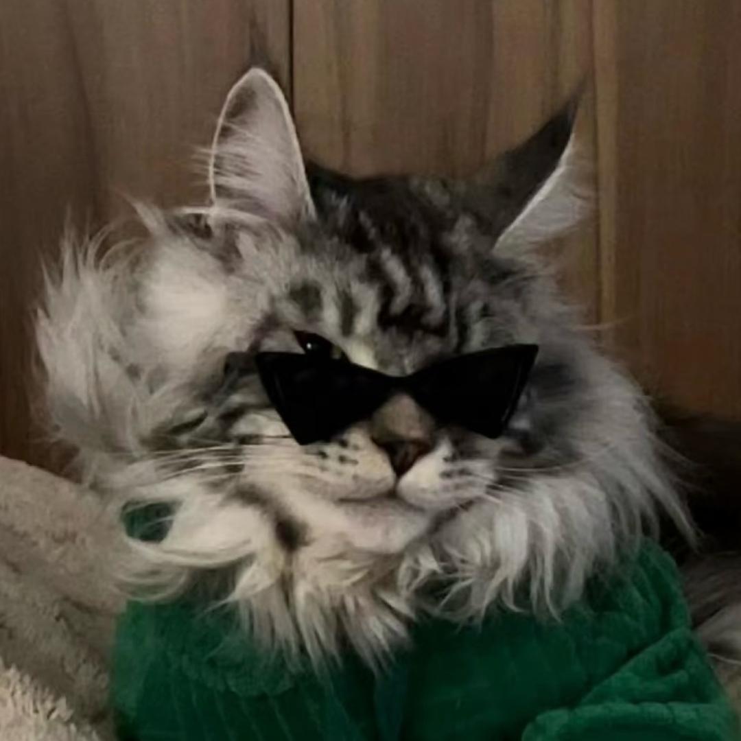 小凛天天开心🥥