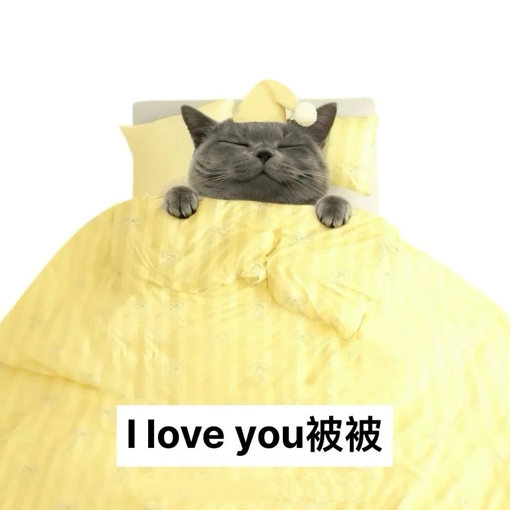 再睡五十分钟