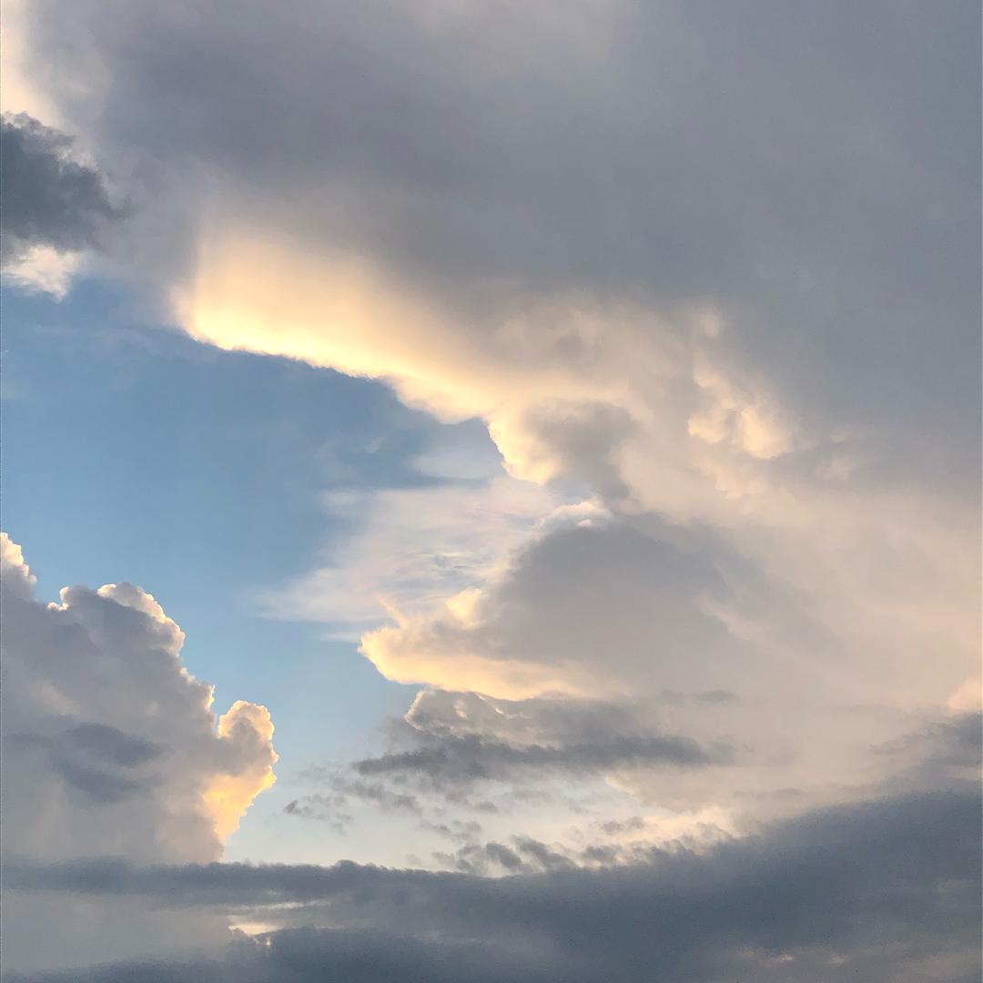 福星高照，喜上眉梢