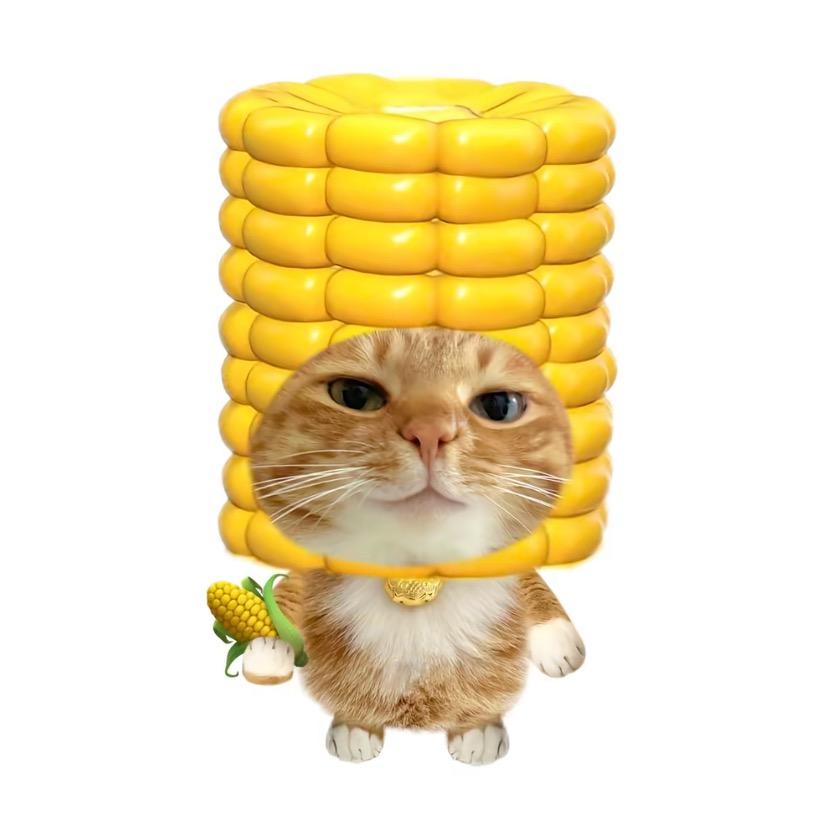 小兔大王
