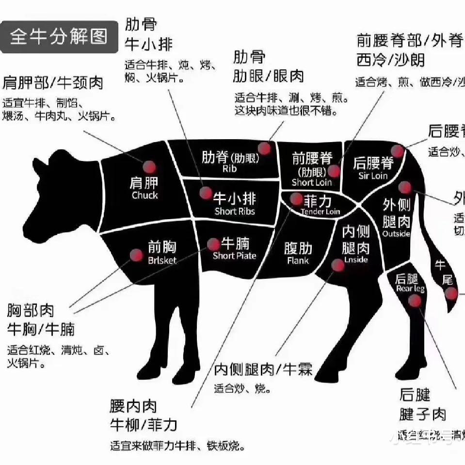 牛之道食品