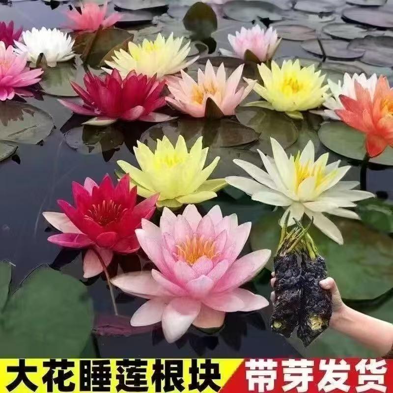 敏优雨花艺