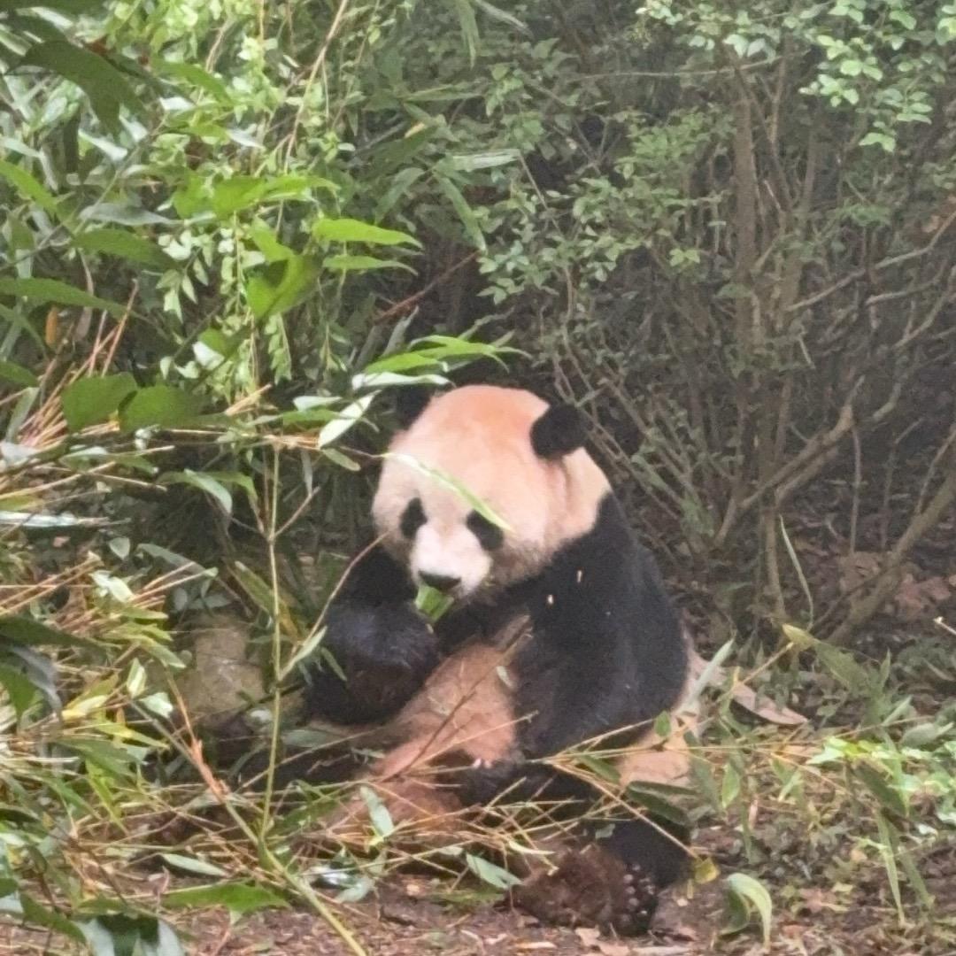 应有的执着