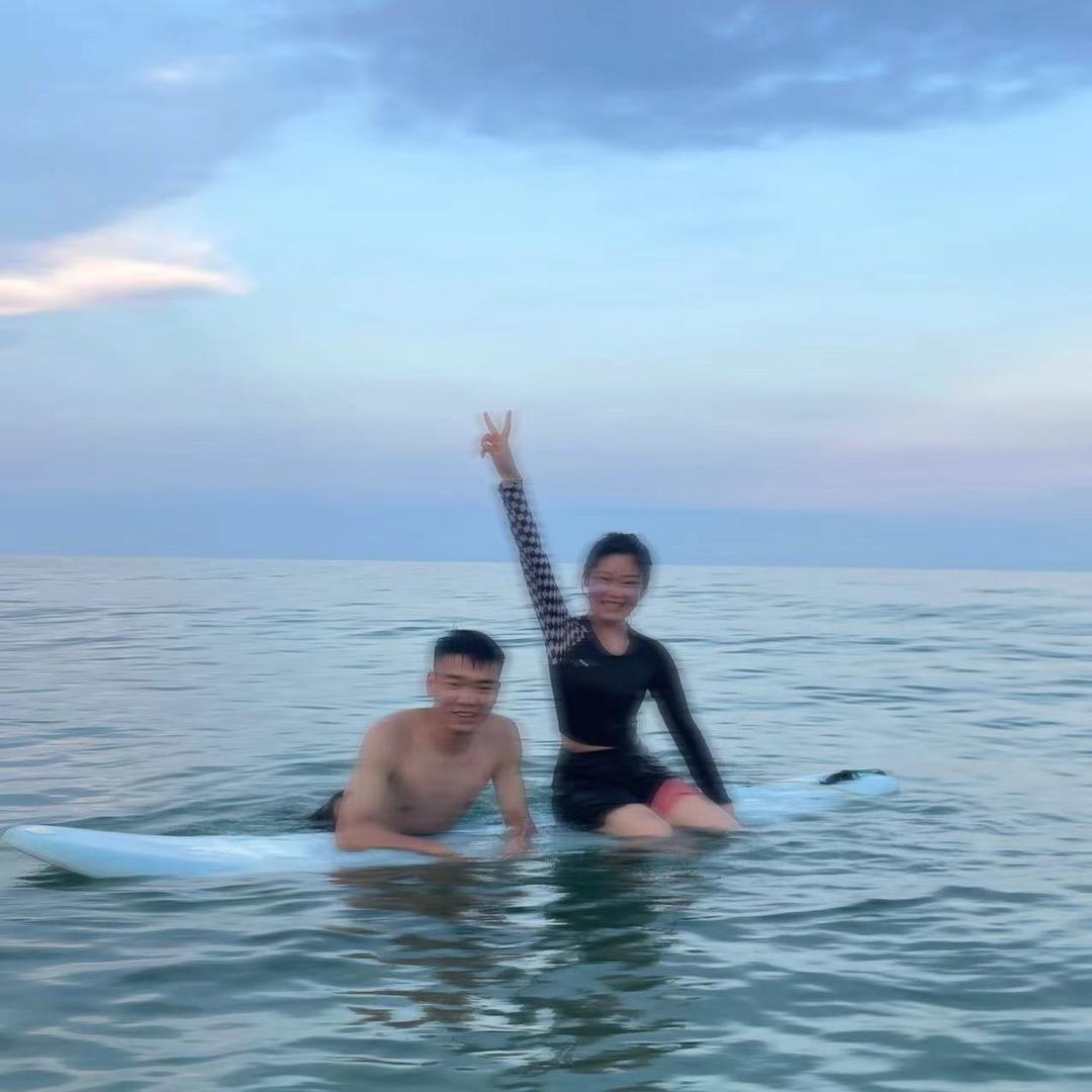 我的郁金香小姐