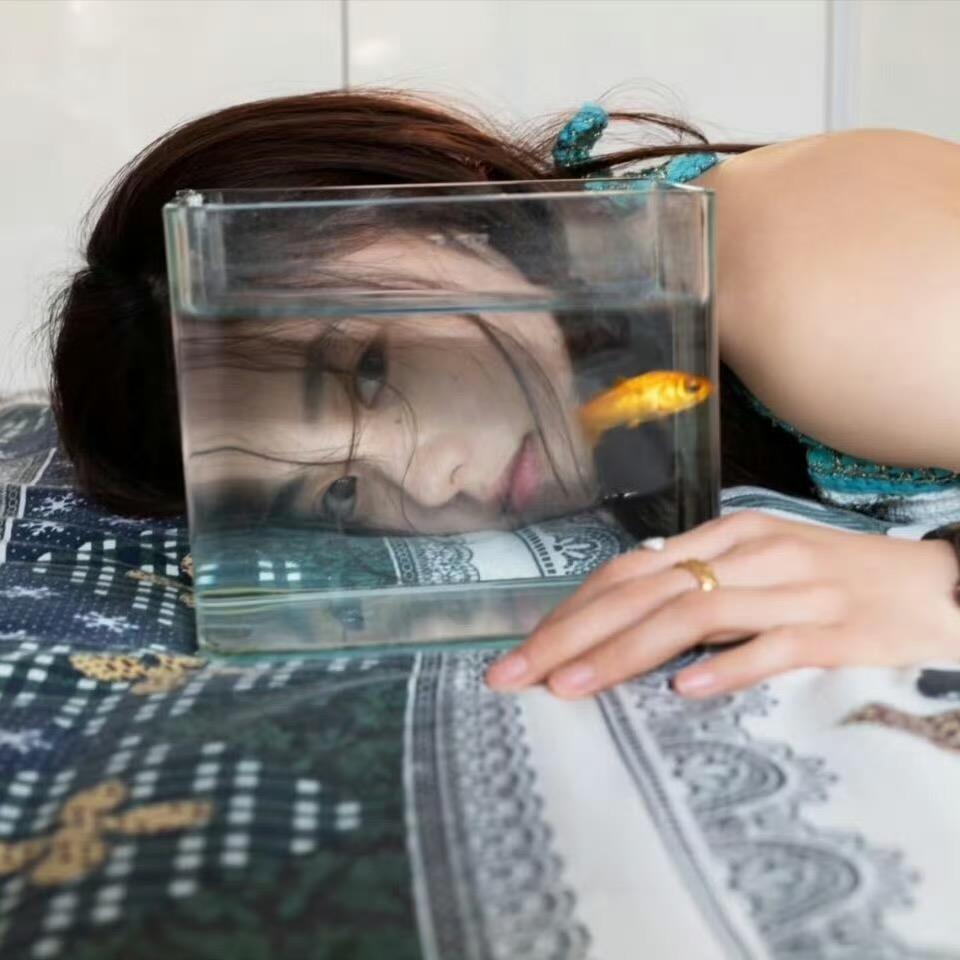 暴躁的兔子🐰