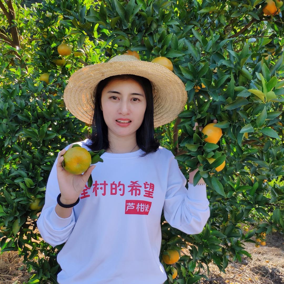 永春芦柑妹（乡村行）