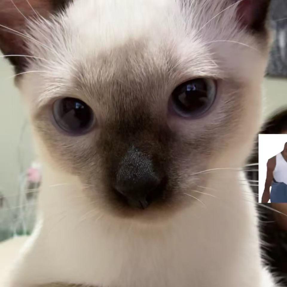 睡到没脾气再起