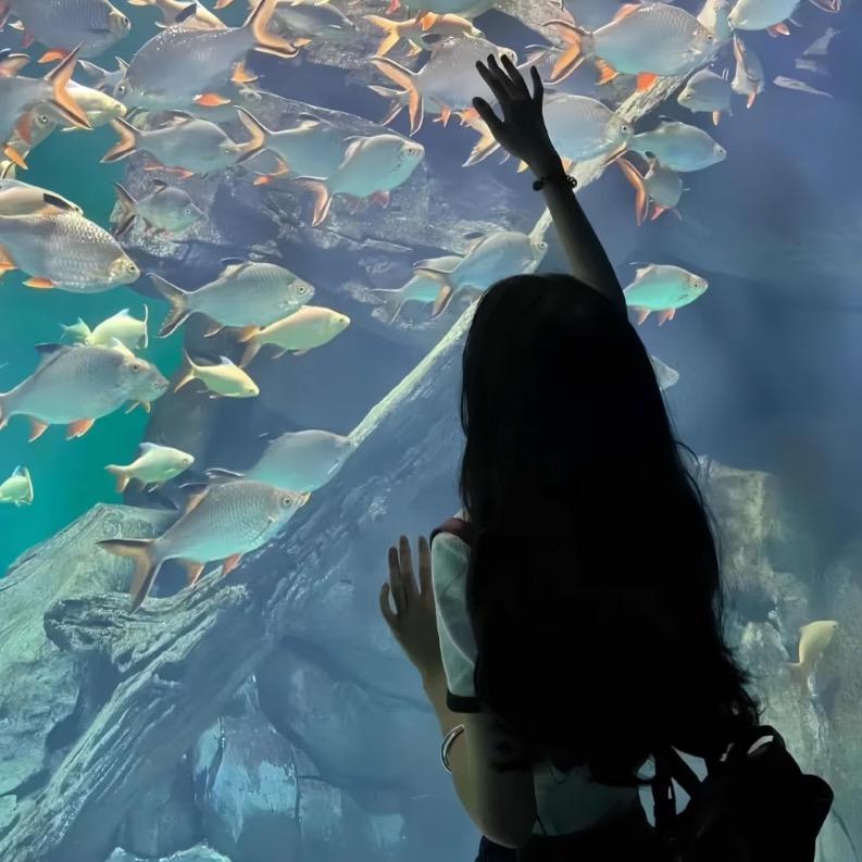 芊眠𝙡̶𝙤̶̶̶𝙫̶̶̶𝙚ᥫᩣ