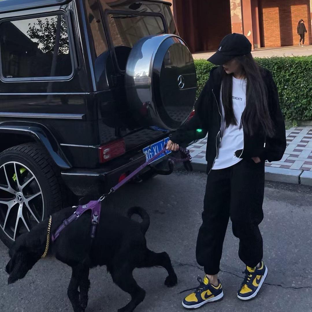 壹个丹-