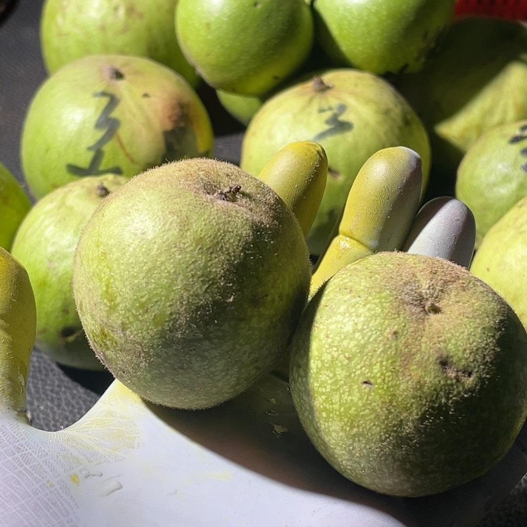 涞水县啊朗工艺品店