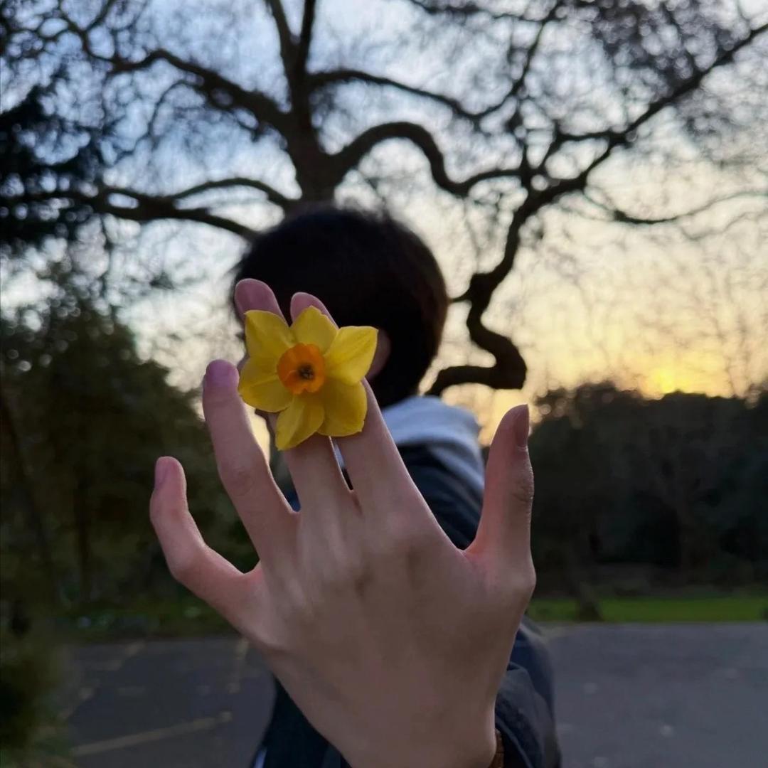 一点也不甜的🍬