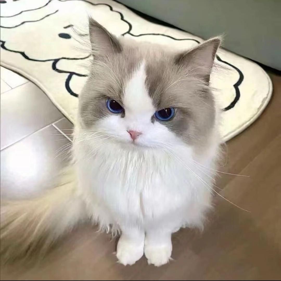 香辣鱼