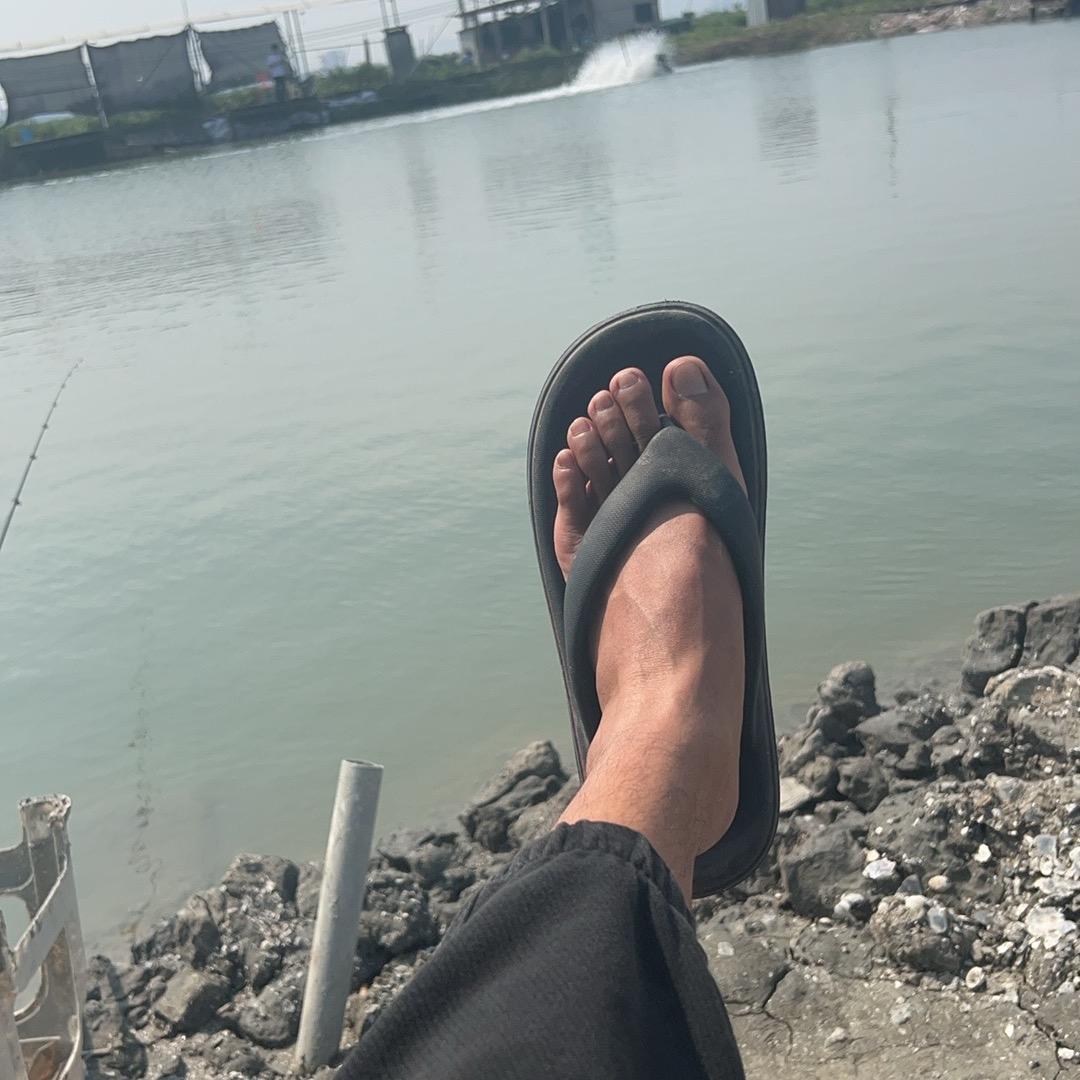 批发，回收各类海鱼，需要联系