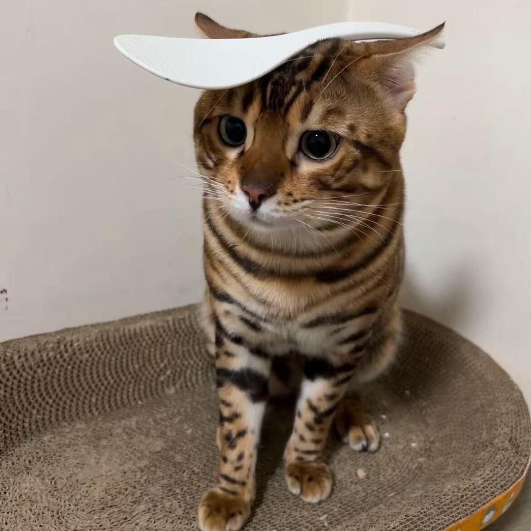 厦门远航二手车