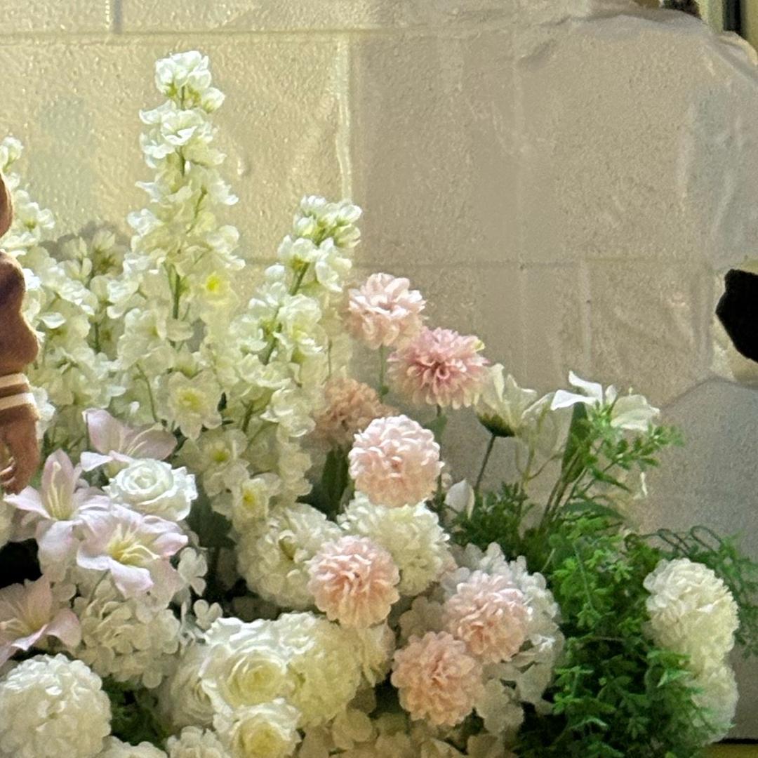 暴燥安琪拉¥（王者荣耀）