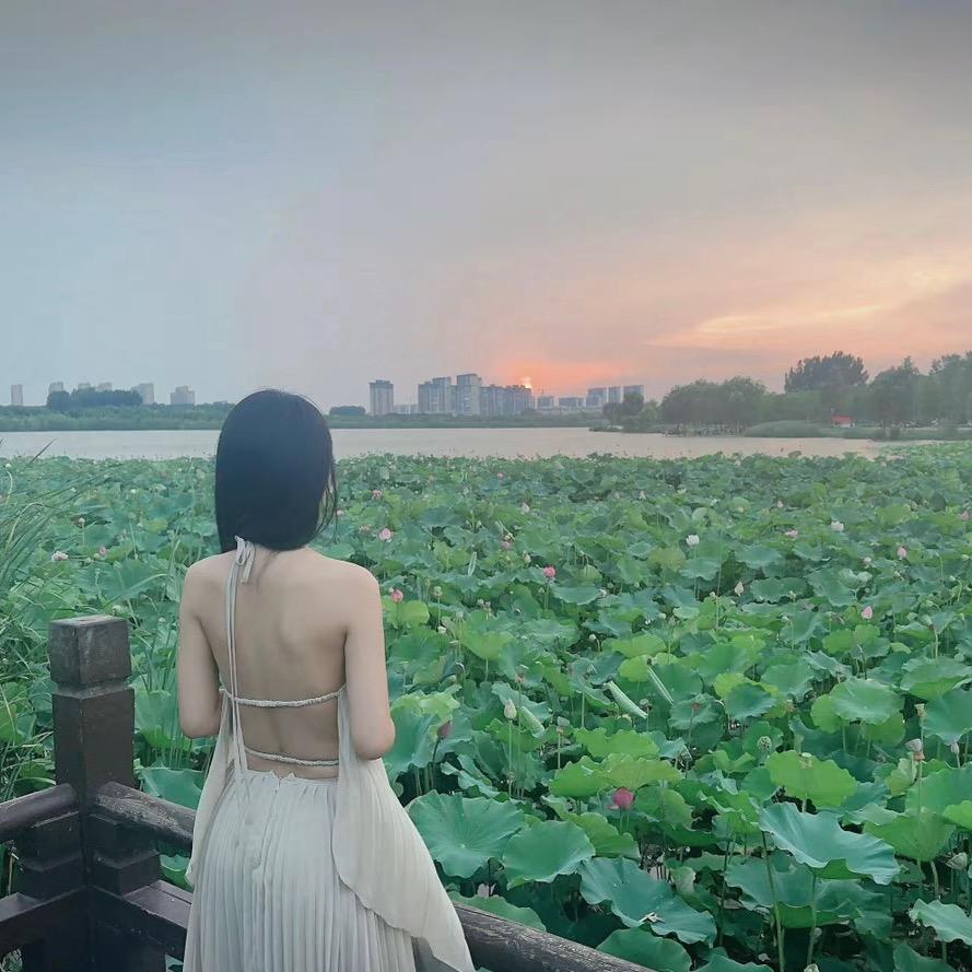 张糖豆