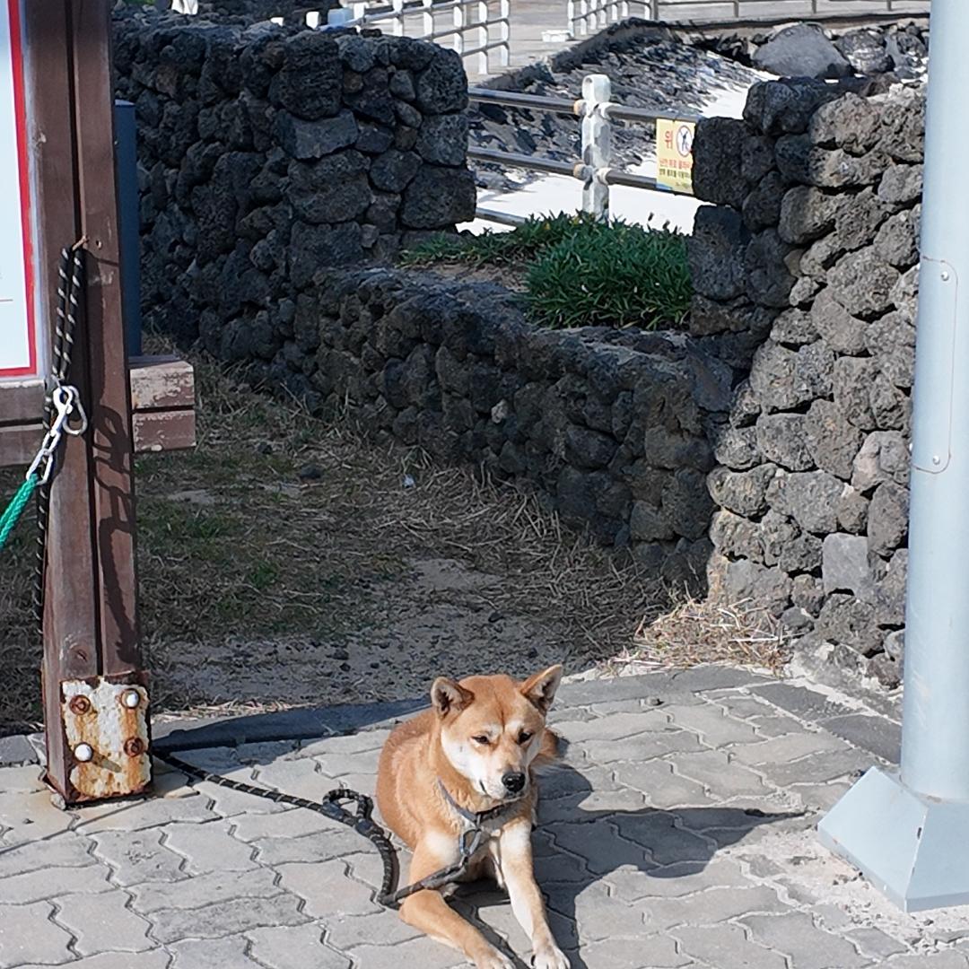 永冠台球器材—阿坤