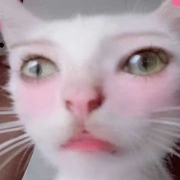 我是米米