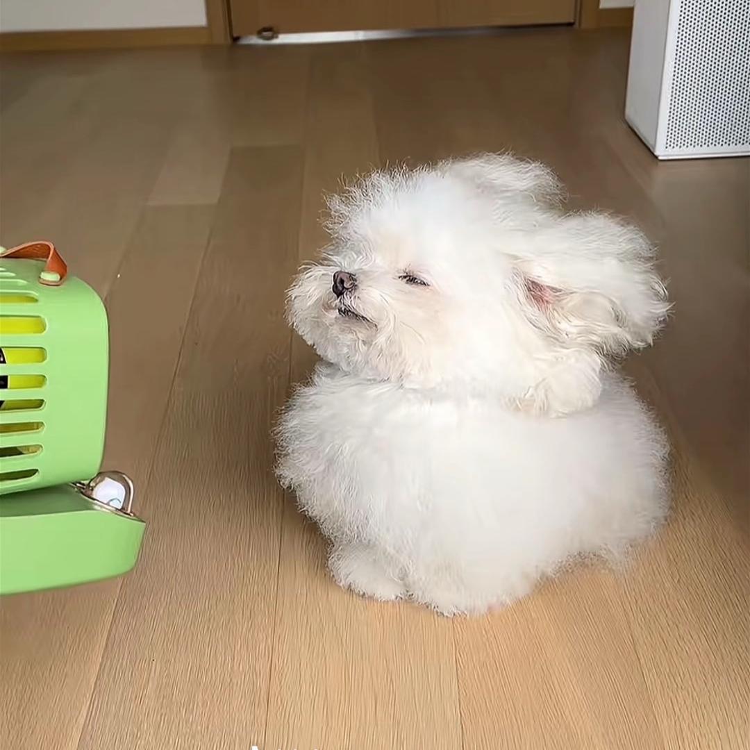 加一
