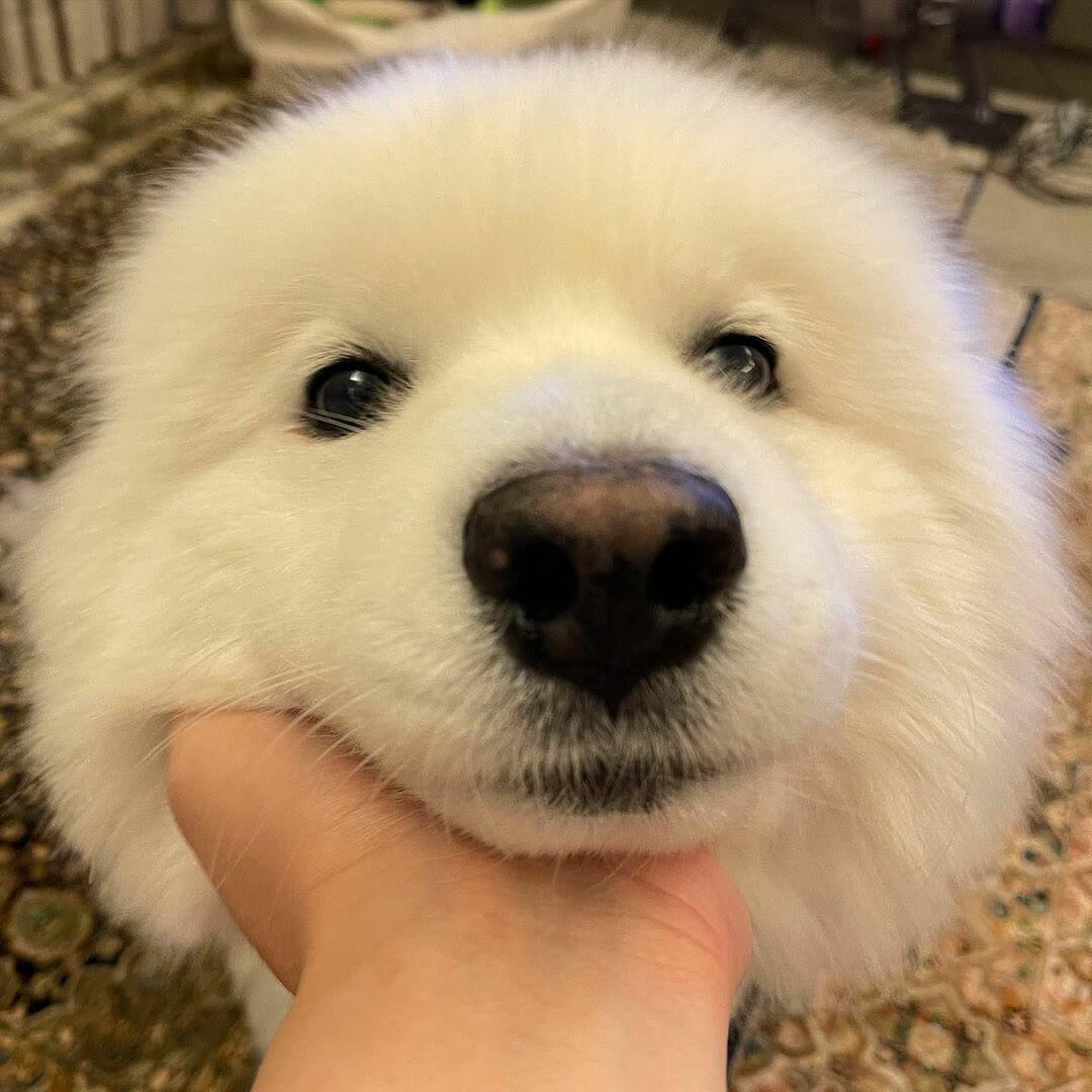 🌈许个愿吧!