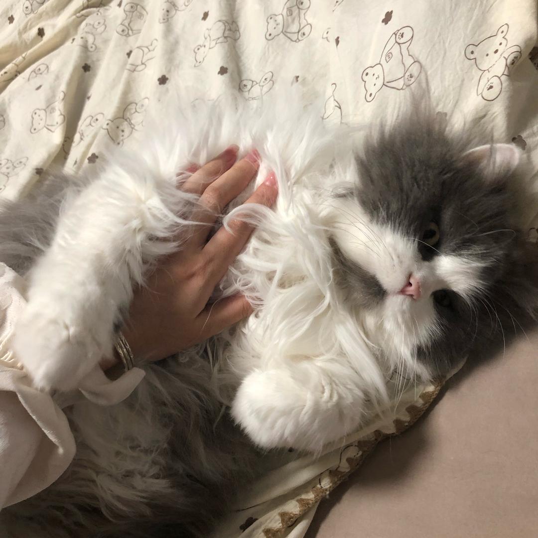 邪恶奶妈养八个娃