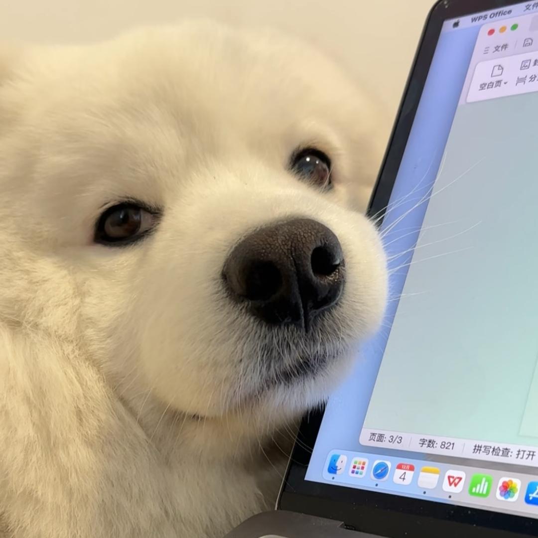 耶耶脆啵啵