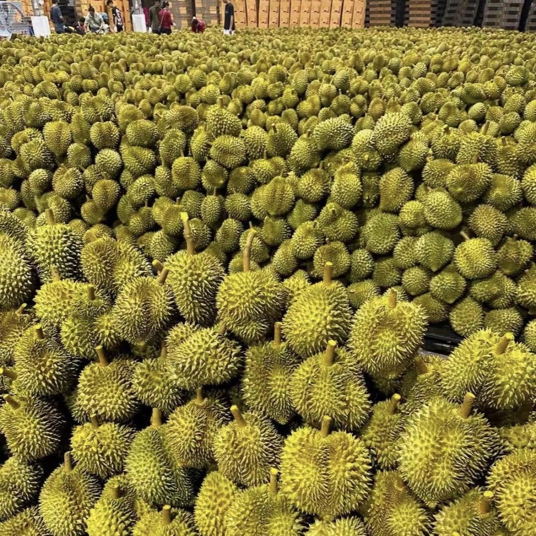 泸州文旅集团天翼一店