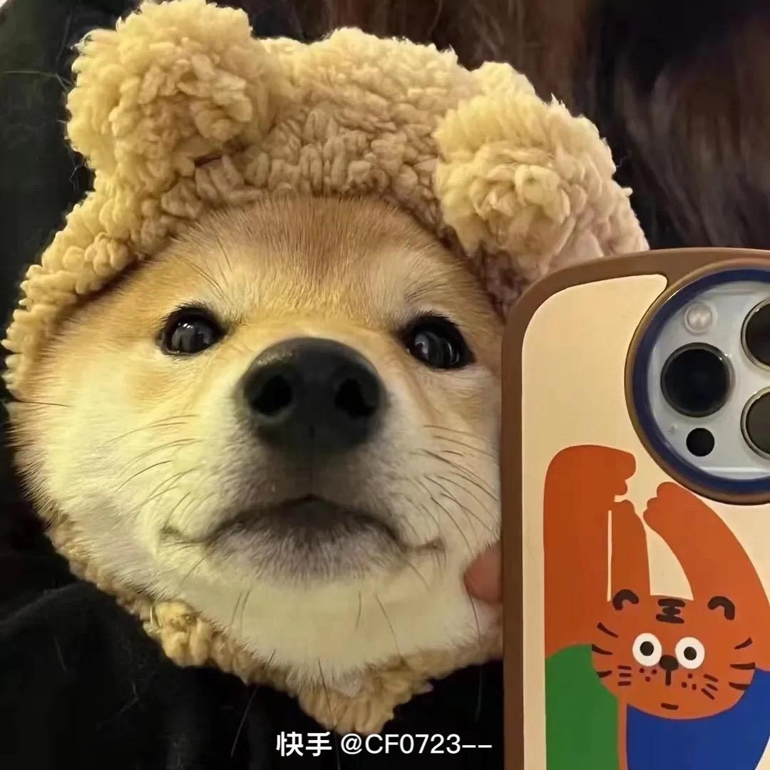 廉廉看$
