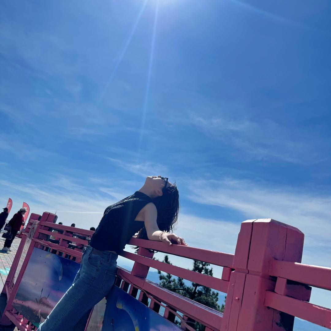 农机大婷