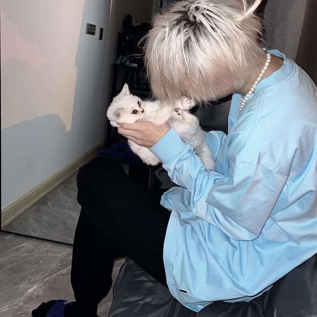 小猪
