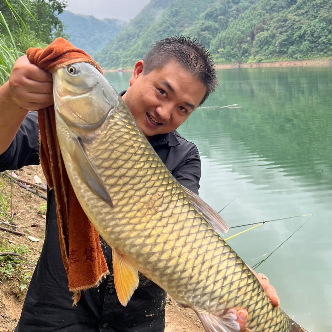 大头荒野传奇🎣