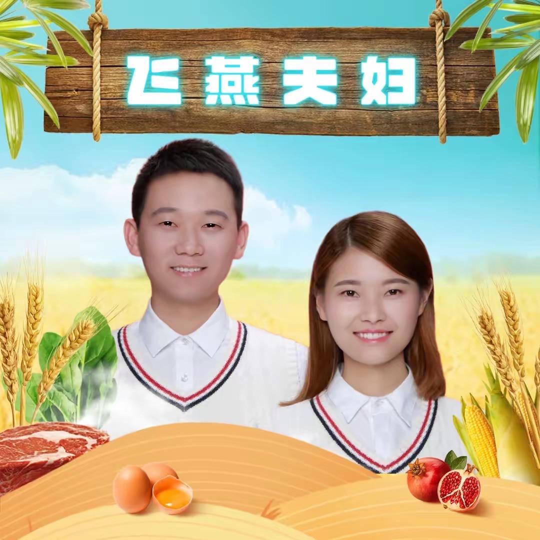 飞燕夫妇农产品