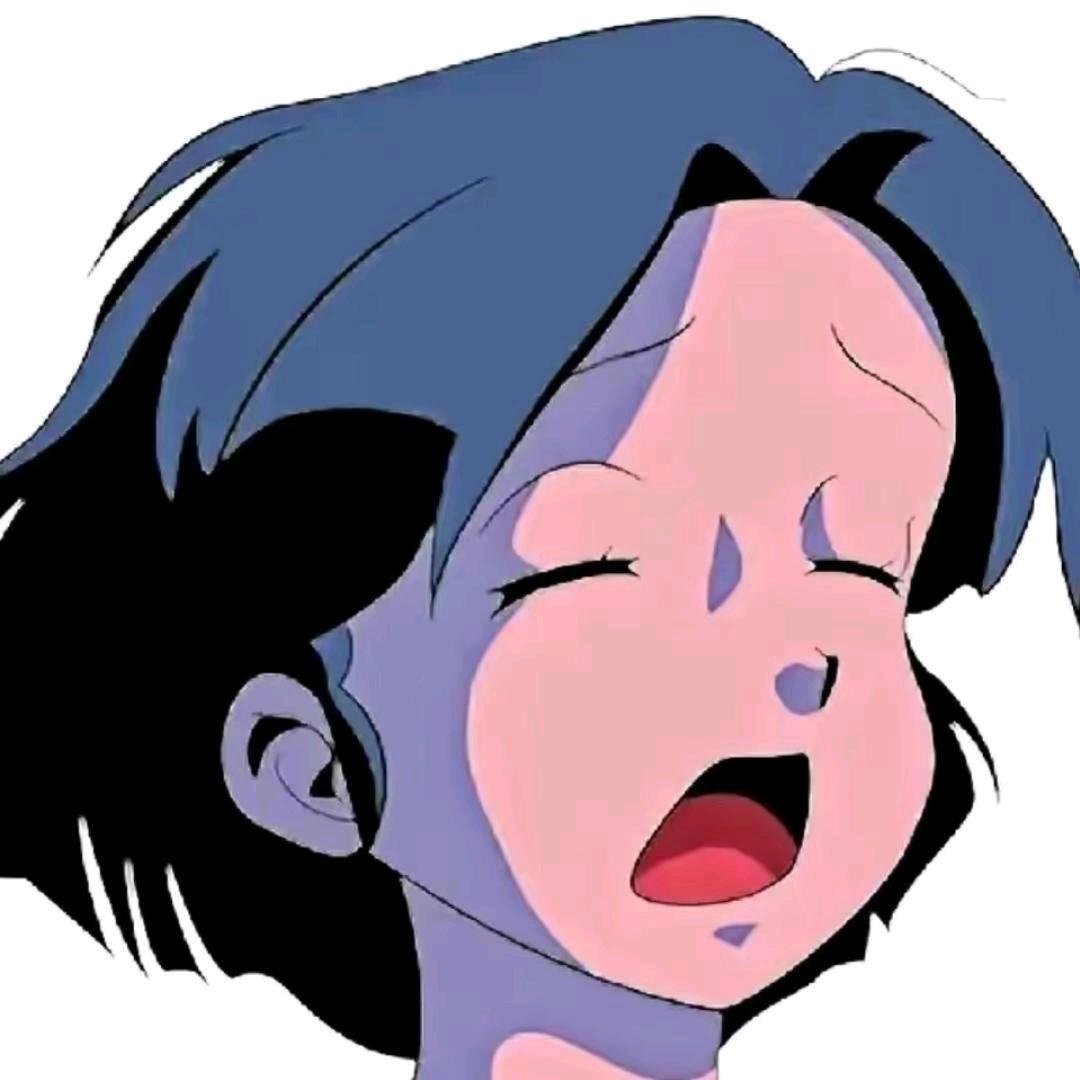 张怀民