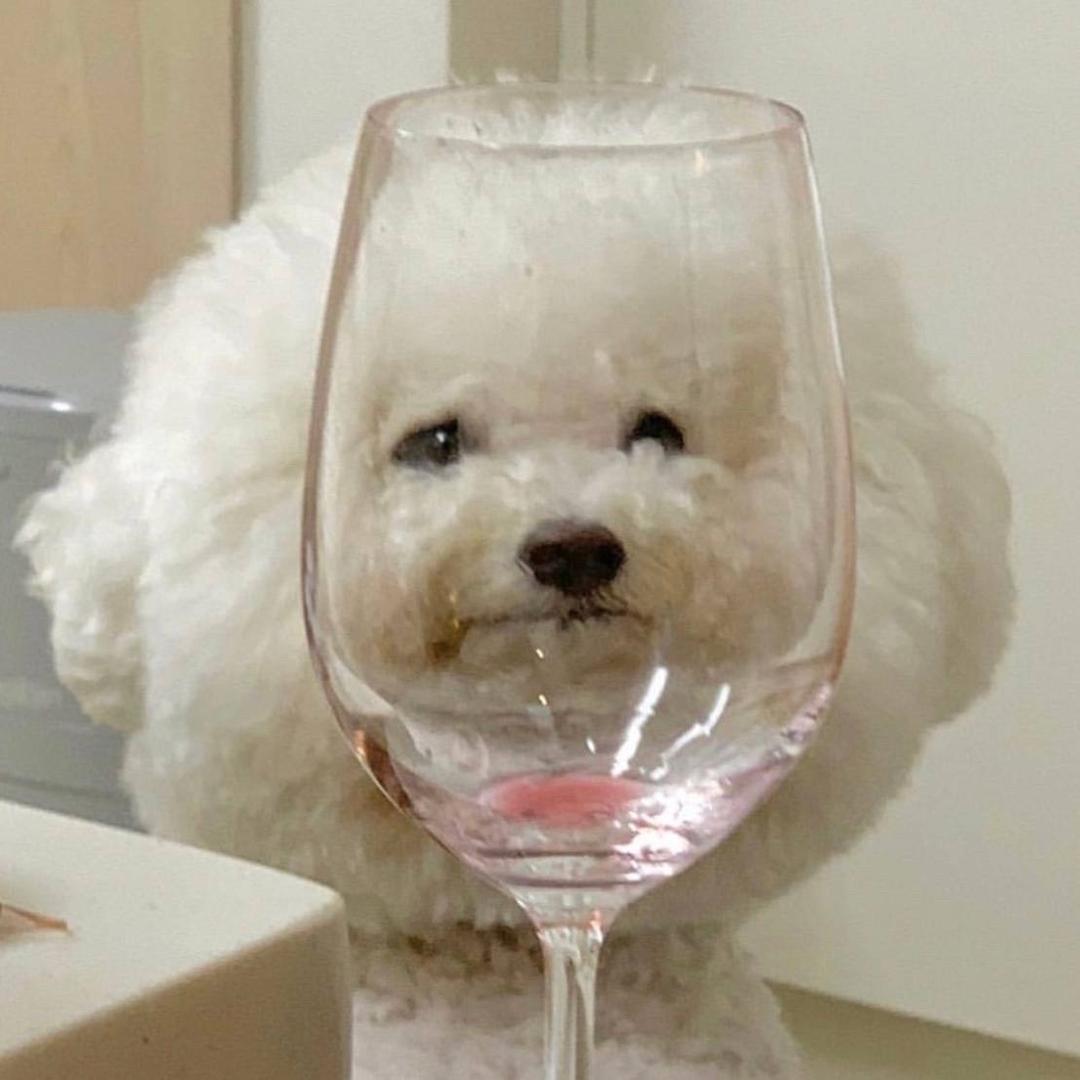 一口荔枝🦦