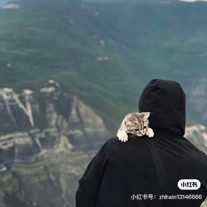 範桂偉