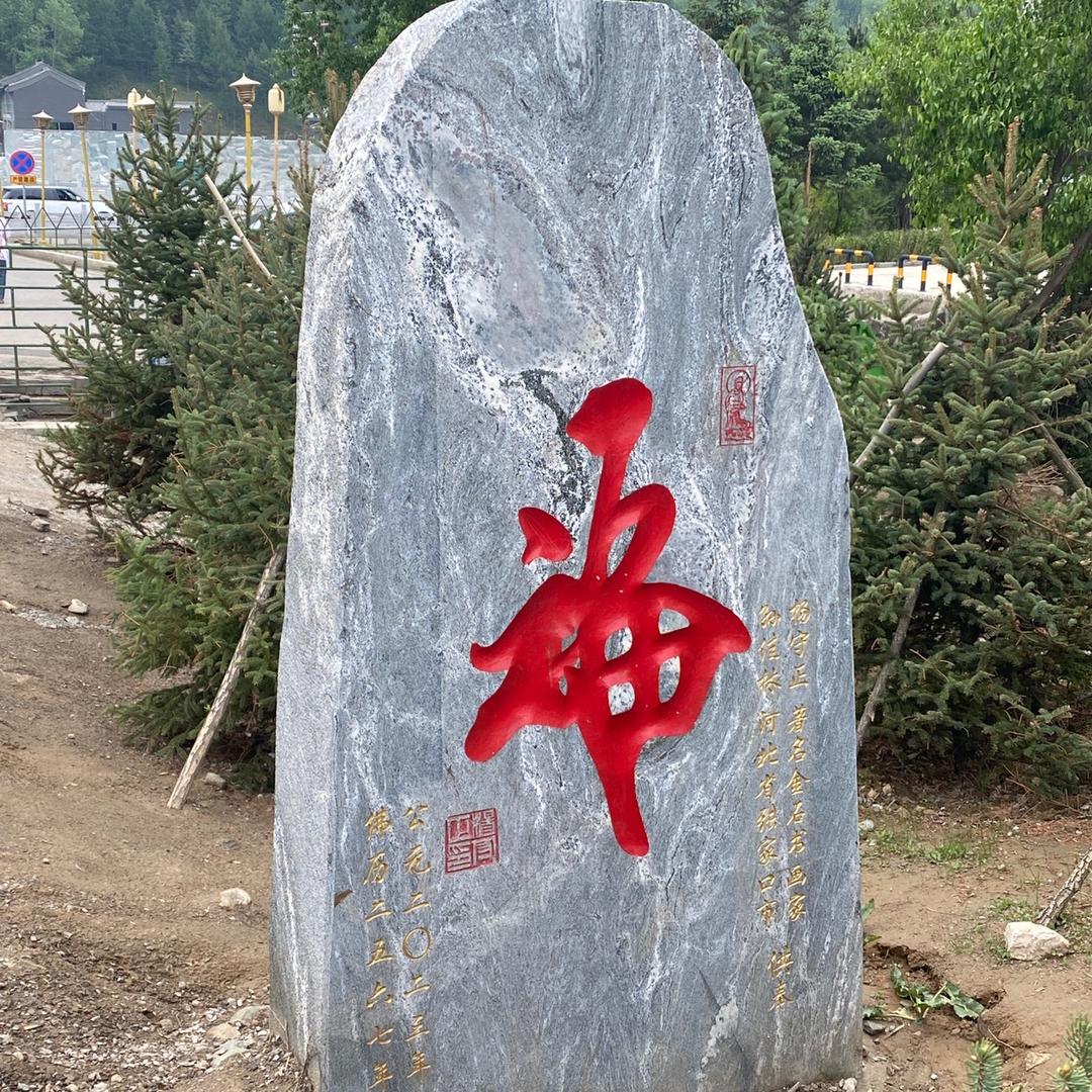 董董—优选！