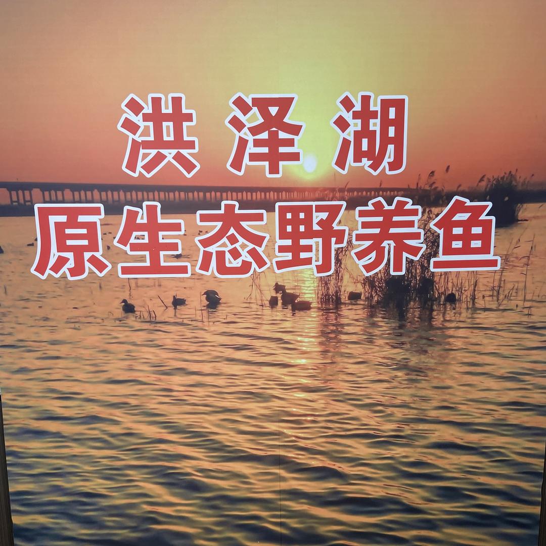 洪泽湖水产品生态鱼