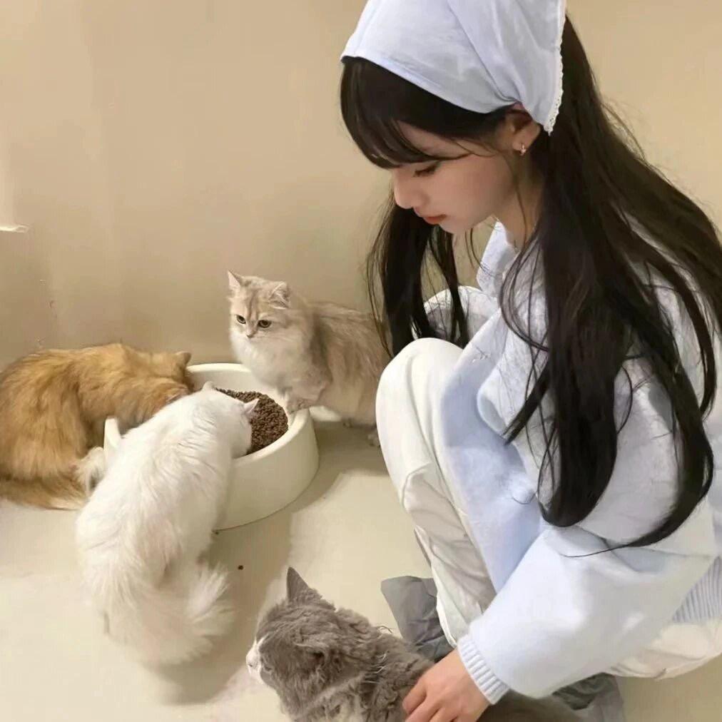 蜜糖很贪吃（🔗在厨窗）