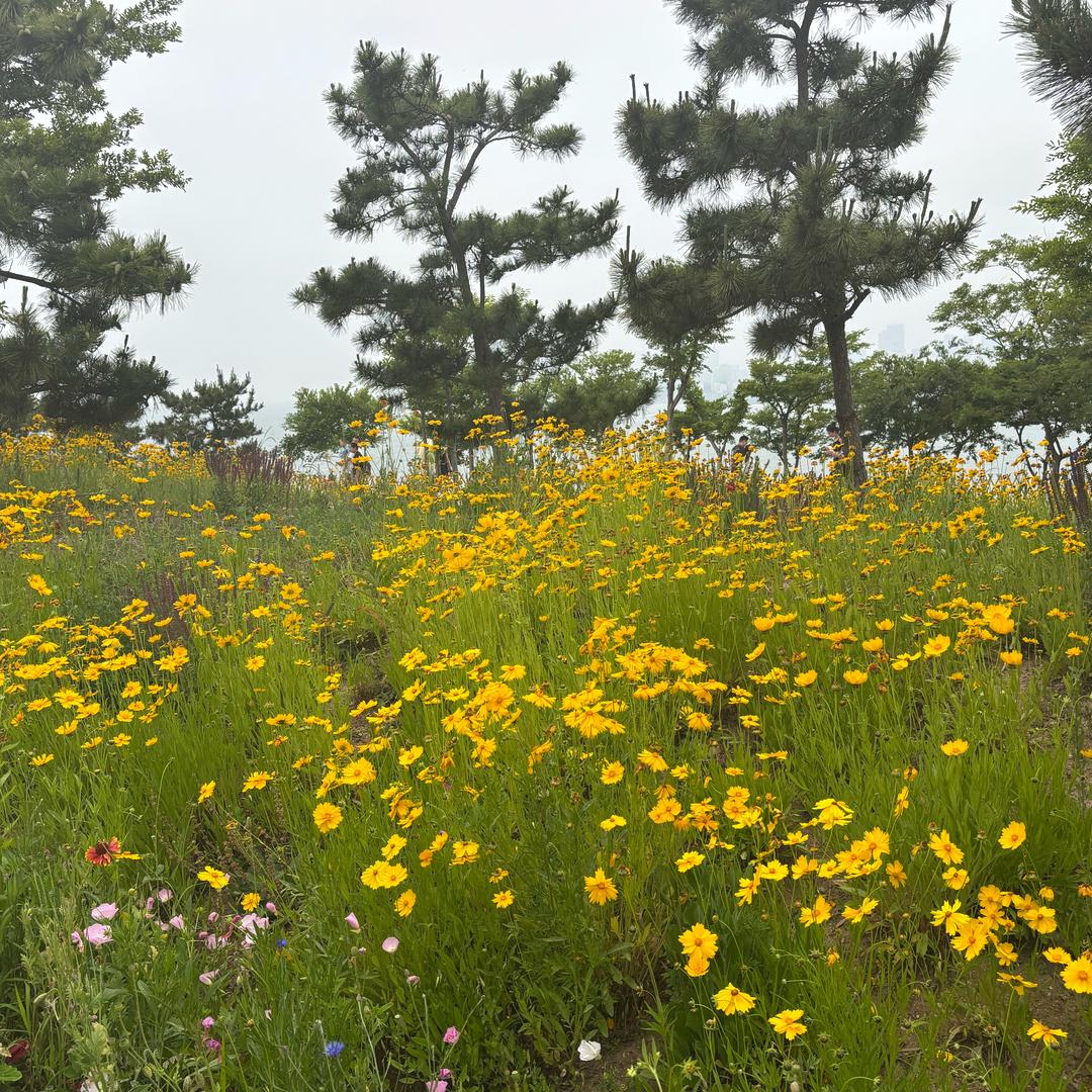 阿风的生活日记