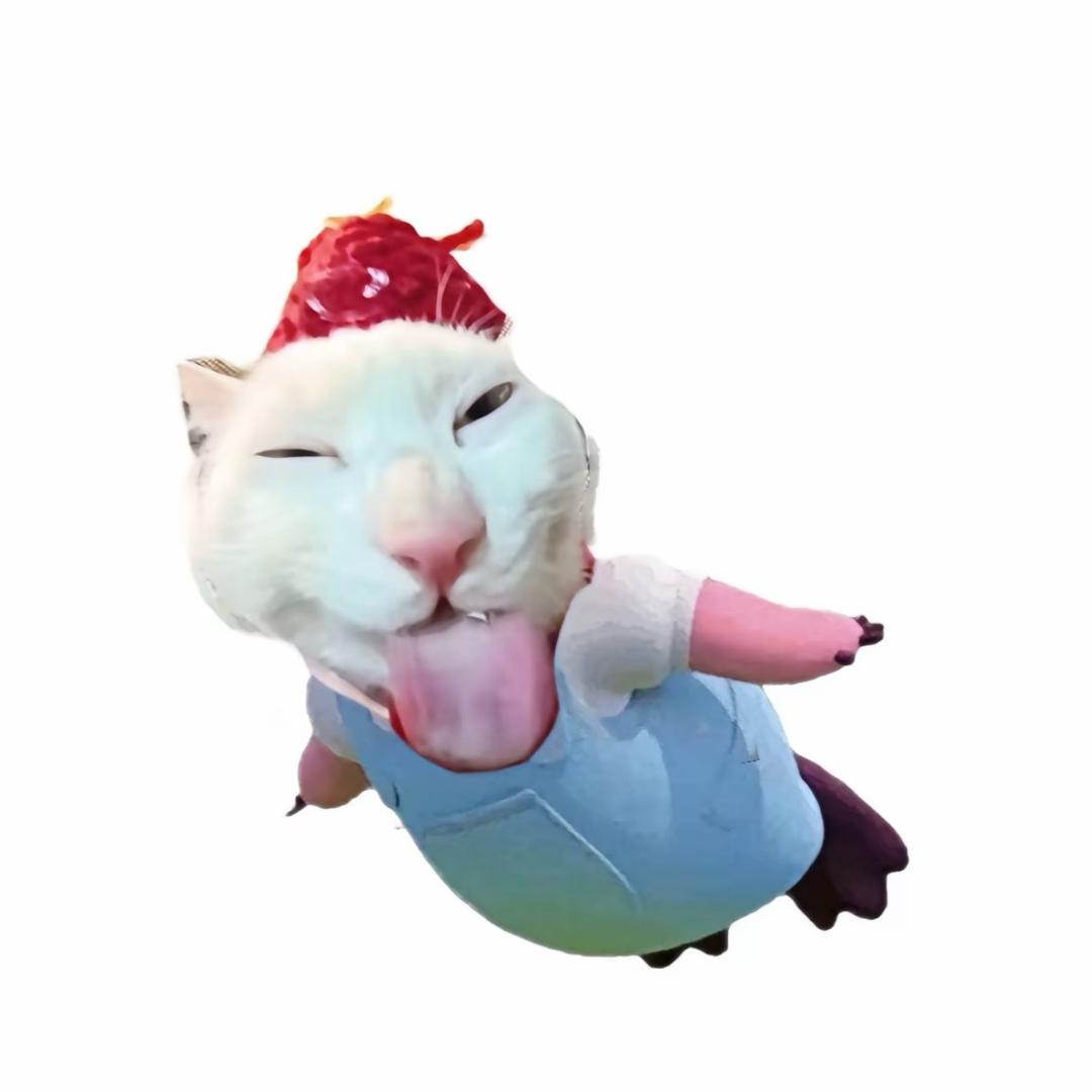 Kitty