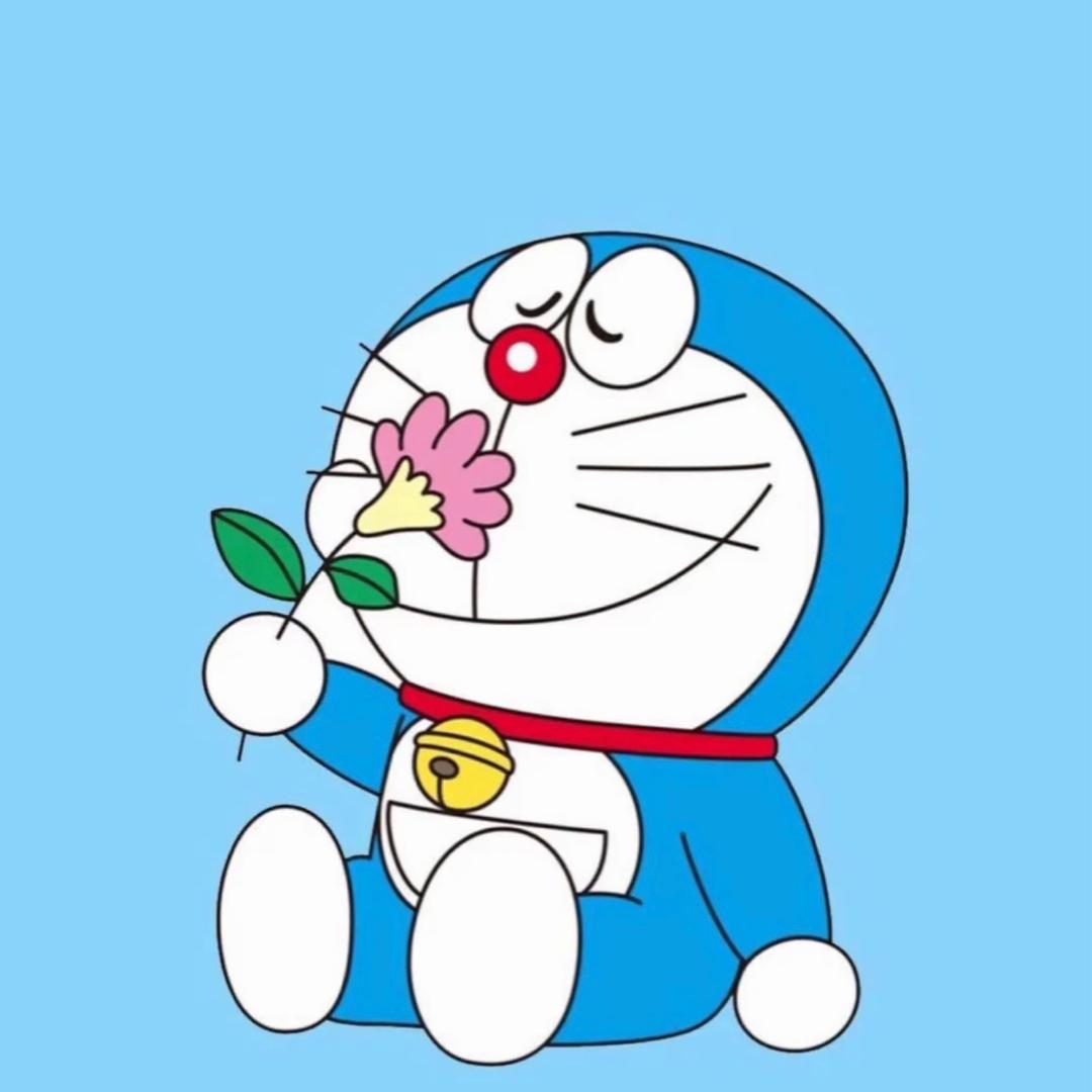 张大大大大大宇🐟