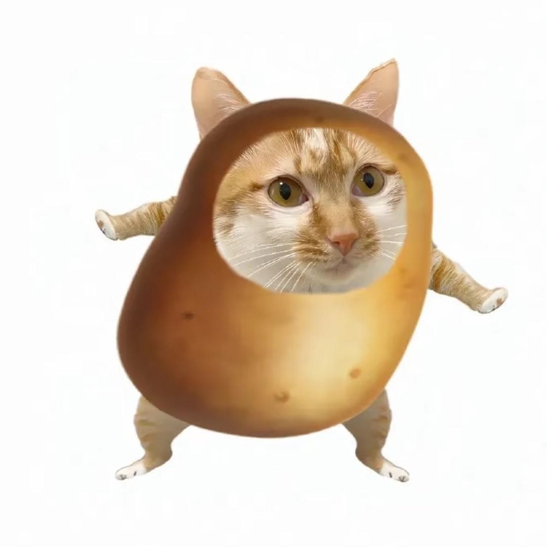 妹妹（无畏契约）